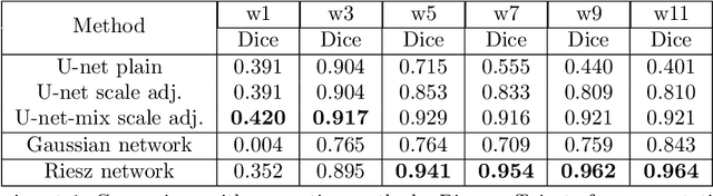 Figure 4 for Riesz networks: scale invariant neural networks in a single forward pass