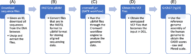 Figure 1 for Scalable Knowledge Graph Construction and Inference on Human Genome Variants