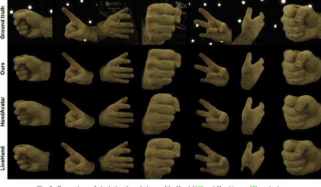 Figure 3 for HandOcc: NeRF-based Hand Rendering with Occupancy Networks