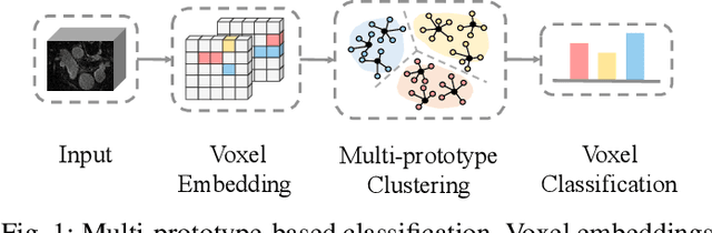 Figure 1 for Multi-Prototype Embedding Refinement for Semi-Supervised Medical Image Segmentation
