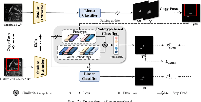 Figure 2 for Multi-Prototype Embedding Refinement for Semi-Supervised Medical Image Segmentation