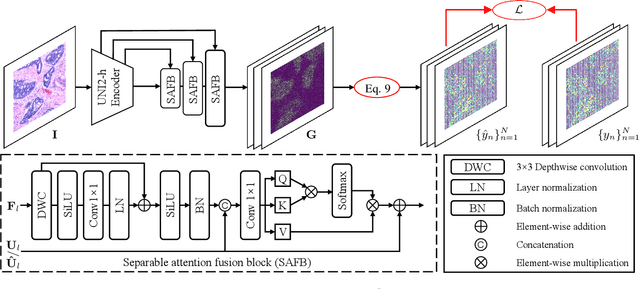 Figure 3 for Spatial Transcriptomics Analysis of Spatially Dense Gene Expression Prediction