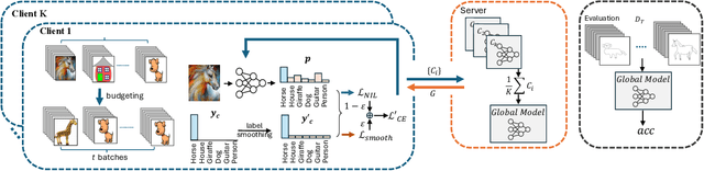 Figure 1 for Federated Domain Generalization with Label Smoothing and Balanced Decentralized Training