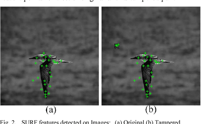 Figure 2 for Image Hash Minimization for Tamper Detection
