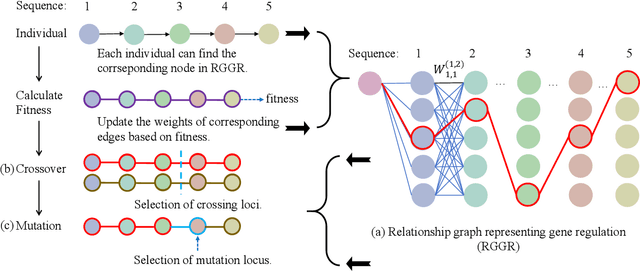 Figure 2 for GARA: A novel approach to Improve Genetic Algorithms' Accuracy and Efficiency by Utilizing Relationships among Genes