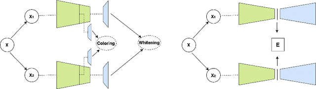 Figure 1 for Direct Coloring for Self-Supervised Enhanced Feature Decoupling