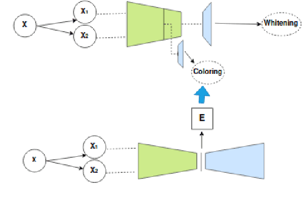 Figure 4 for Direct Coloring for Self-Supervised Enhanced Feature Decoupling