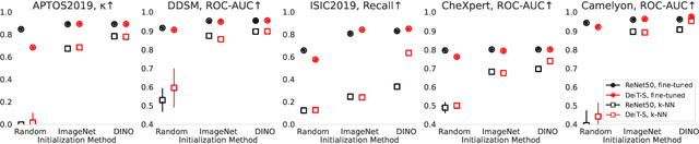 Figure 2 for Pretrained ViTs Yield Versatile Representations For Medical Images