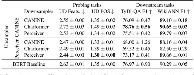 Figure 4 for What is the best recipe for character-level encoder-only modelling?