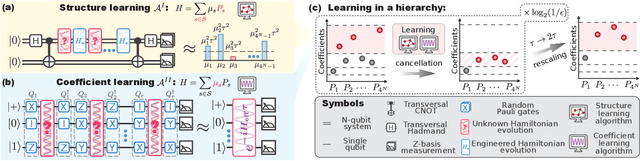 Figure 1 for Ansatz-free Hamiltonian learning with Heisenberg-limited scaling