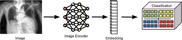 Figure 2 for Embeddings are all you need! Achieving High Performance Medical Image Classification through Training-Free Embedding Analysis