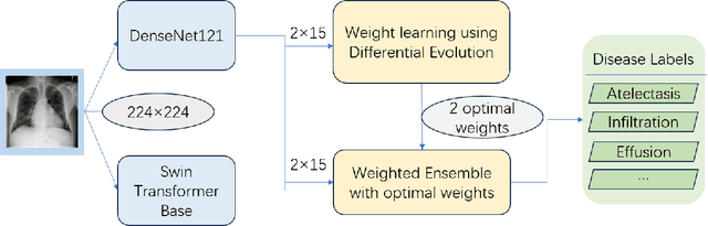 Figure 2 for CheX-DS: Improving Chest X-ray Image Classification with Ensemble Learning Based on DenseNet and Swin Transformer