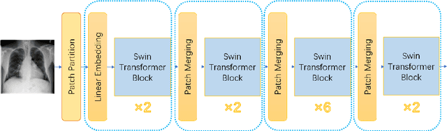 Figure 3 for CheX-DS: Improving Chest X-ray Image Classification with Ensemble Learning Based on DenseNet and Swin Transformer