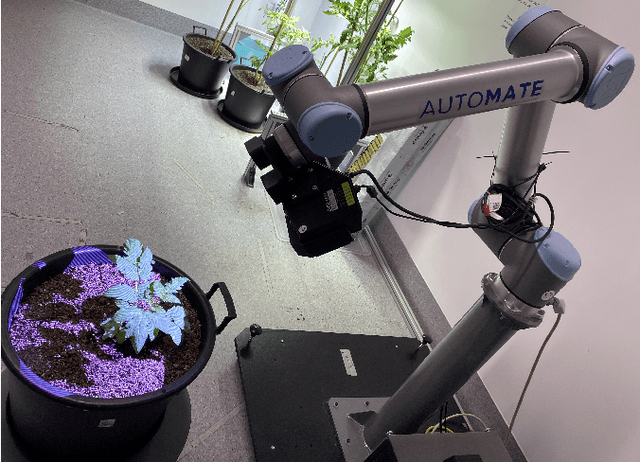 Figure 1 for Look how they have grown: Non-destructive Leaf Detection and Size Estimation of Tomato Plants for 3D Growth Monitoring