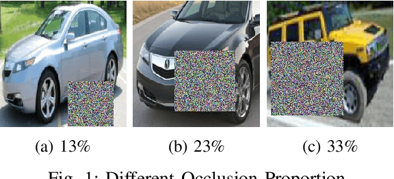 Figure 1 for Now You See Me: Robust approach to Partial Occlusions