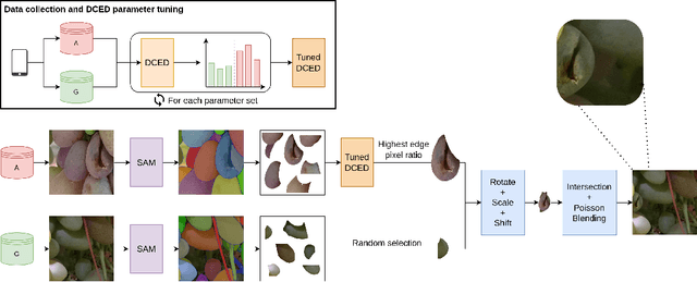 Figure 3 for Synthetic Data Generation for Anomaly Detection on Table Grapes