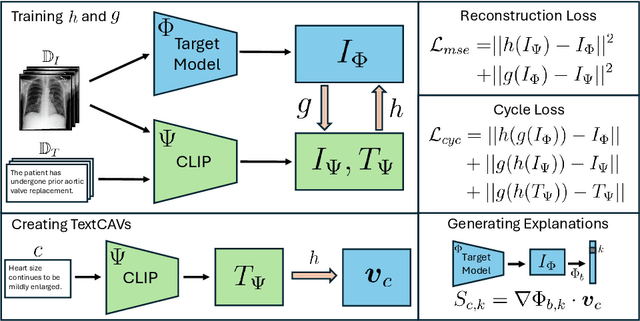 Figure 1 for TextCAVs: Debugging vision models using text