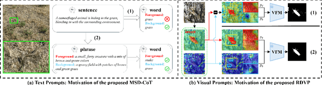 Figure 3 for Stepwise Decomposition and Dual-stream Focus: A Novel Approach for Training-free Camouflaged Object Segmentation