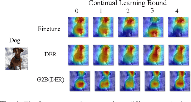 Figure 1 for Generalizable Two-Branch Framework for Image Class-Incremental Learning