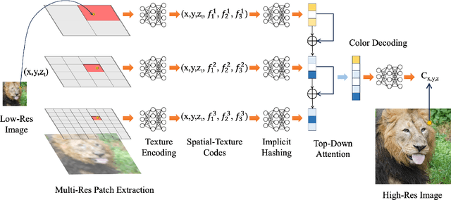 Figure 3 for Implicit Neural Representation for Video and Image Super-Resolution