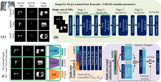 Figure 3 for Multi-View Transformers for Airway-To-Lung Ratio Inference on Cardiac CT Scans: The C4R Study