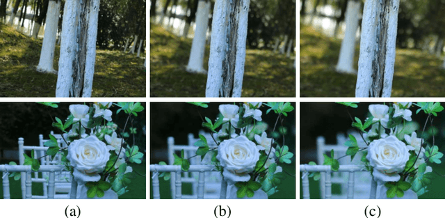 Figure 1 for Variable Aperture Bokeh Rendering via Customized Focal Plane Guidance