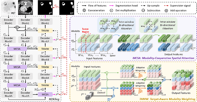 Figure 1 for H2ASeg: Hierarchical Adaptive Interaction and Weighting Network for Tumor Segmentation in PET/CT Images