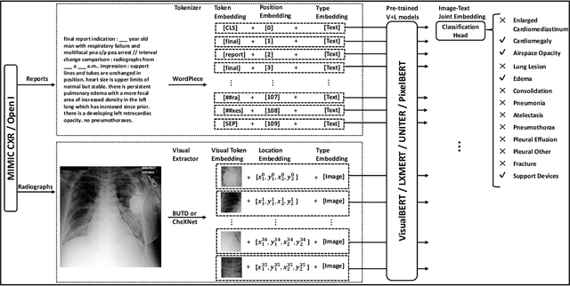 Figure 1 for A Comparison of Pre-trained Vision-and-Language Models for Multimodal Representation Learning across Medical Images and Reports