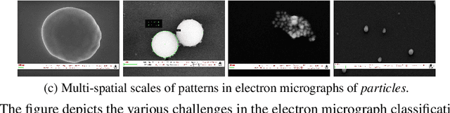 Figure 1 for Vision HgNN: An Electron-Micrograph is Worth Hypergraph of Hypernodes