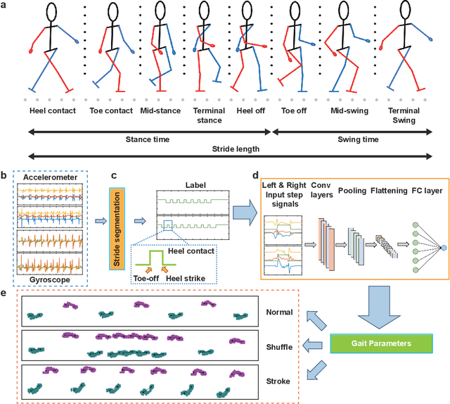 Figure 1 for GaitMotion: A Multitask Dataset for Pathological Gait Forecasting