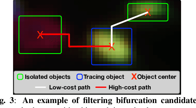 Figure 4 for Online Multi-spectral Neuron Tracing
