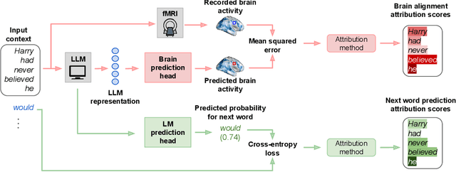 Figure 1 for Fine-grained Analysis of Brain-LLM Alignment through Input Attribution