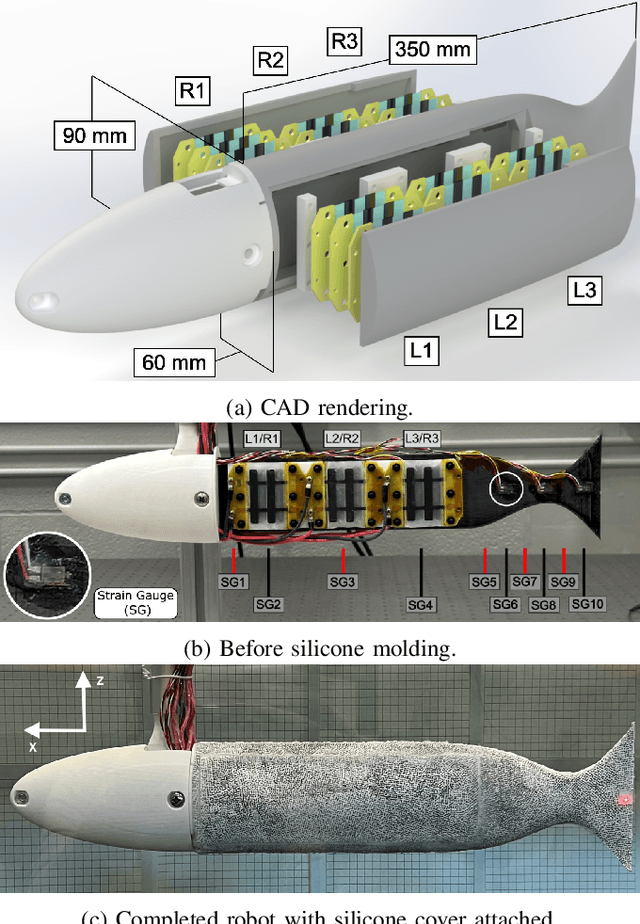 Figure 1 for Improving Swimming Performance in Soft Robotic Fish with Distributed Muscles and Embedded Kinematic Sensing