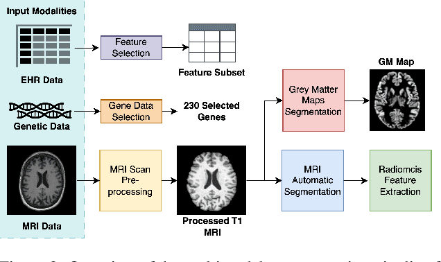 Figure 3 for Not Only Grey Matter: OmniBrain for Robust Multimodal Classification of Alzheimer's Disease