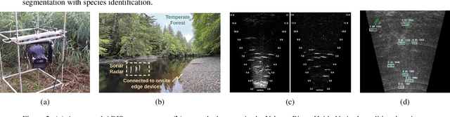Figure 2 for Exploring Multimodal Foundation AI and Expert-in-the-Loop for Sustainable Management of Wild Salmon Fisheries in Indigenous Rivers