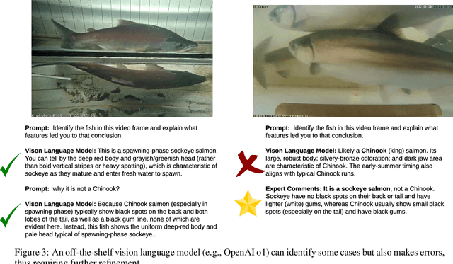 Figure 3 for Exploring Multimodal Foundation AI and Expert-in-the-Loop for Sustainable Management of Wild Salmon Fisheries in Indigenous Rivers