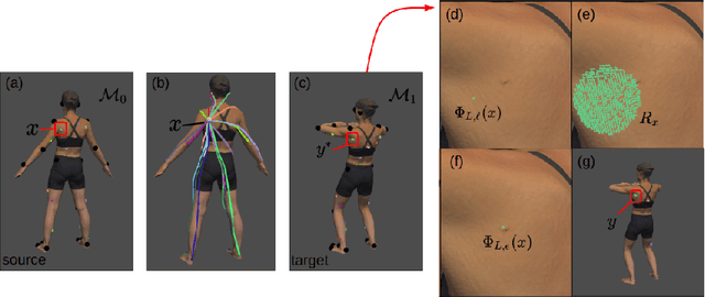 Figure 1 for Skin Lesion Correspondence Localization in Total Body Photography