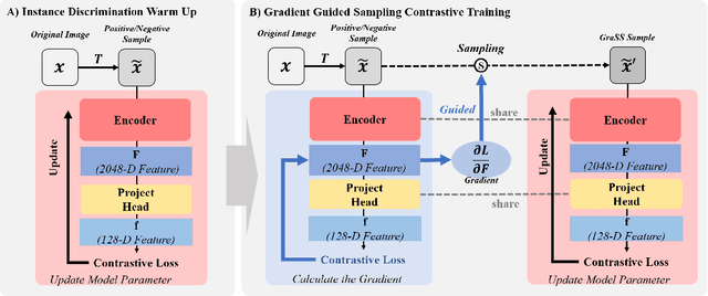 Figure 3 for GraSS: Contrastive Learning with Gradient Guided Sampling Strategy for Remote Sensing Image Semantic Segmentation