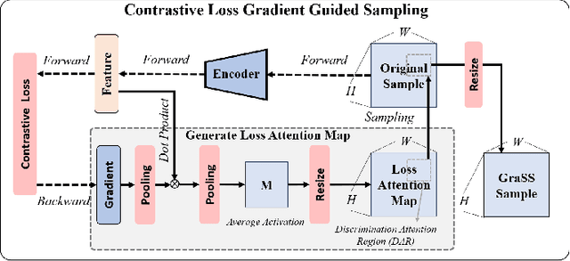 Figure 4 for GraSS: Contrastive Learning with Gradient Guided Sampling Strategy for Remote Sensing Image Semantic Segmentation