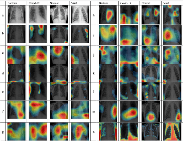 Figure 1 for Identifying Bias in Deep Neural Networks Using Image Transforms