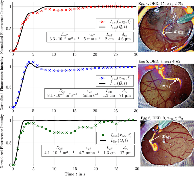 Figure 3 for The CAM Model: An in vivo Testbed for Molecular Communication Systems
