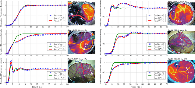 Figure 4 for The CAM Model: An in vivo Testbed for Molecular Communication Systems