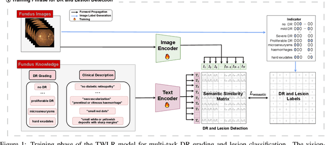 Figure 1 for TWLR: Text-Guided Weakly-Supervised Lesion Localization and Severity Regression for Explainable Diabetic Retinopathy Grading