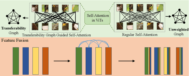 Figure 1 for Feature Fusion Transferability Aware Transformer for Unsupervised Domain Adaptation