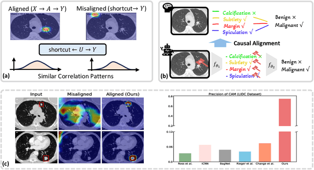 Figure 1 for Exploring Counterfactual Alignment Loss towards Human-centered AI