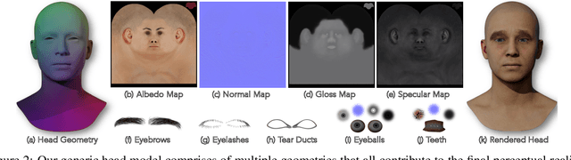Figure 2 for MUNCH: Modelling Unique 'N Controllable Heads