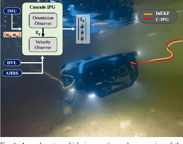 Figure 1 for Cascade IPG Observer for Underwater Robot State Estimation