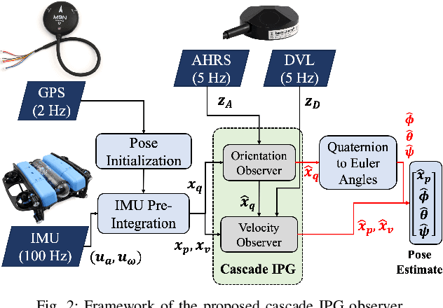 Figure 2 for Cascade IPG Observer for Underwater Robot State Estimation