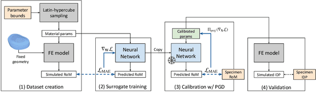 Figure 1 for Don't You (Project Around Discs)? Neural Network Surrogate and Projected Gradient Descent for Calibrating an Intervertebral Disc Finite Element Model