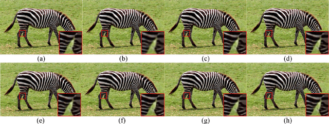 Figure 2 for A Heterogeneous Dynamic Convolutional Neural Network for Image Super-resolution
